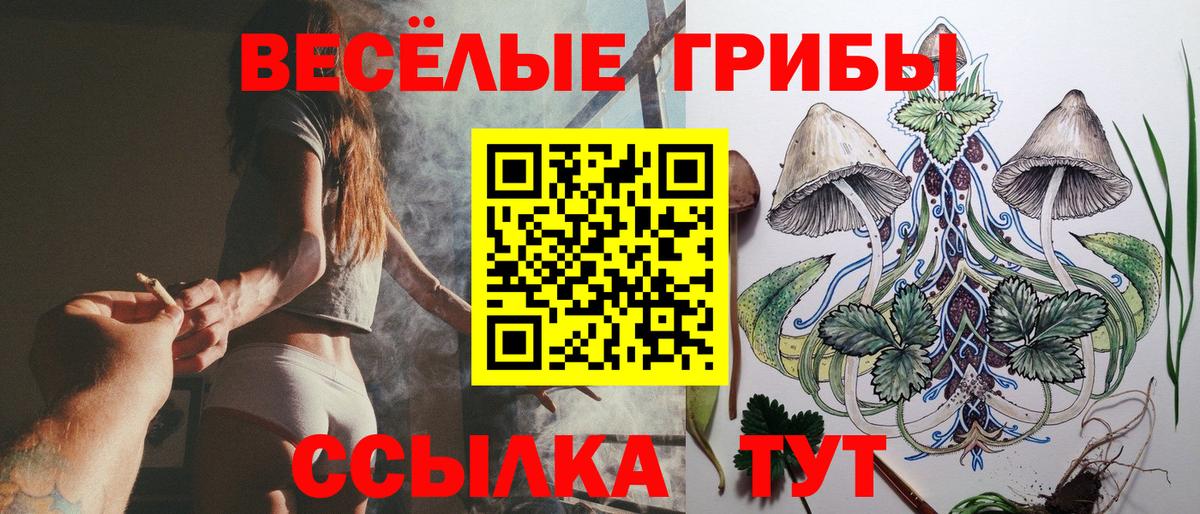 Галлюциногенные грибы Magic Shrooms Сланцы